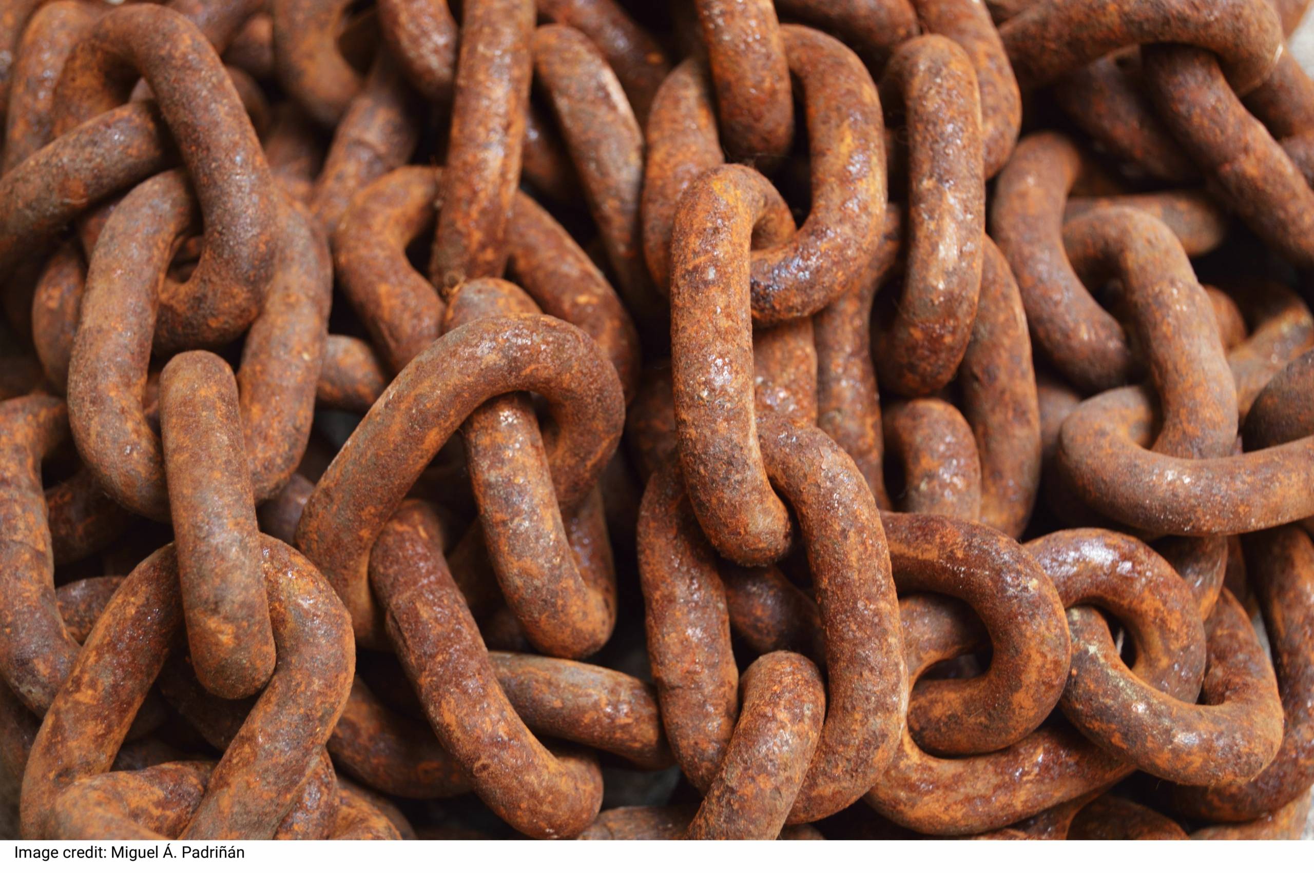 Brown Chains by Miguel Á. Padriñán Brown Chains