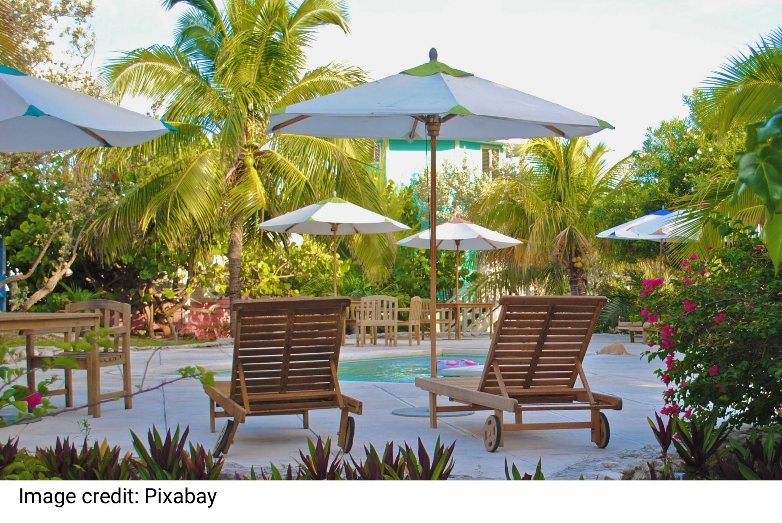 Two Brown Wooden Lounge Chairs at the Pool by Pixabay Two Brown Wooden Lounge Chairs at the Pool