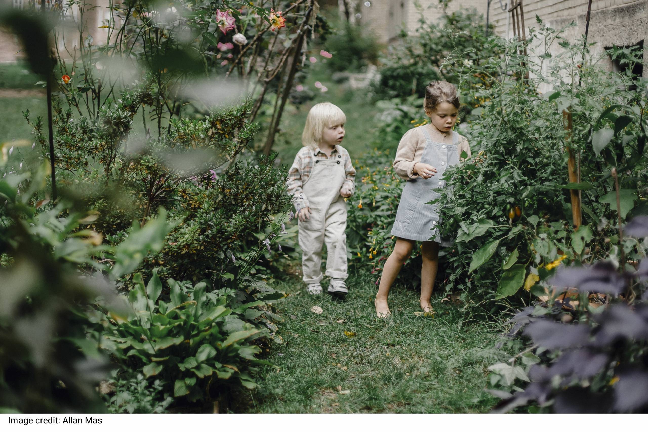 Cute siblings resting in green garden by Allan Mas Cute siblings resting in green garden