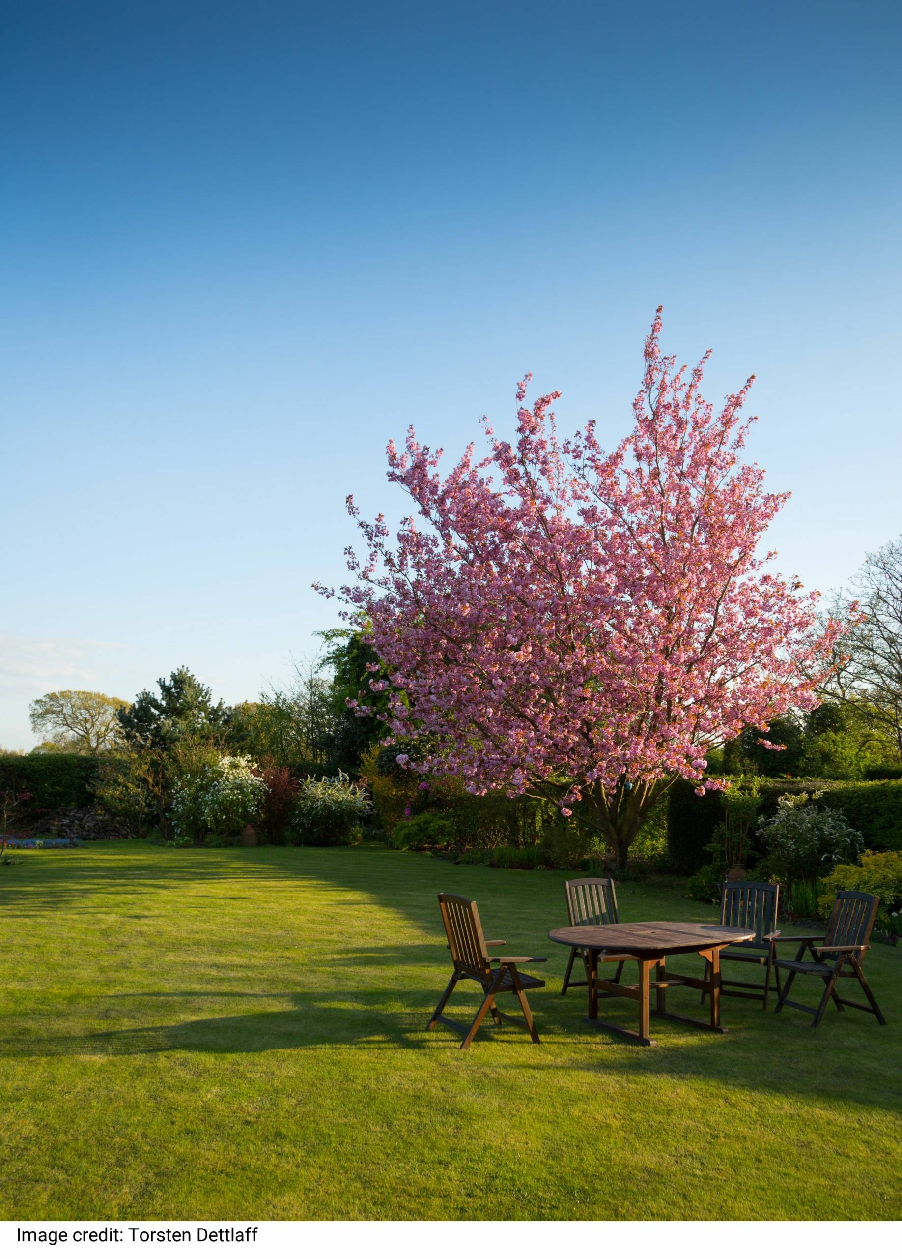 Round Brown Wooden 5-piece Dining Set on Lawn Grass by Torsten Dettlaff Round Brown Wooden 5-piece Dining Set on Lawn Grass