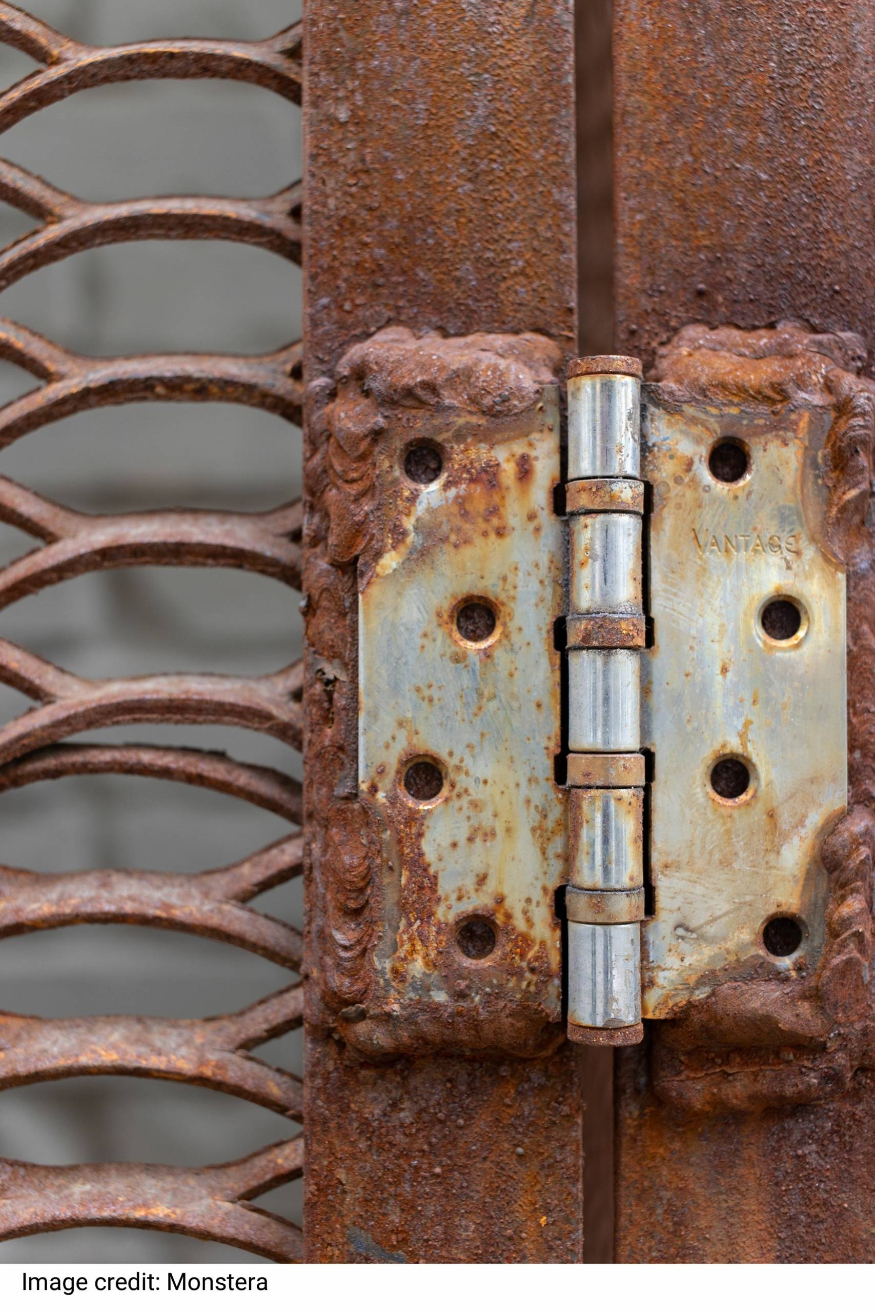 Weathered hinge with rusty metal by Monstera Weathered hinge with rusty metal